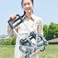 Hand Pull Cart Household Push Cart Transport Trolley Folding Trolley Shopping Cart Grocery Shopping 