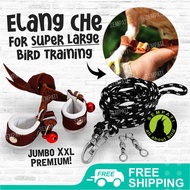 SEMPATI Angklet Celepuk Anklet XXL Tali Kaki Burung Hantu Elang DM CHE JHE BUBO WBSE IBE Tali Pengik