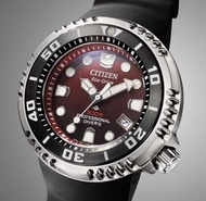 ⚜️全新 行貨 有門市⚜️ CITIZEN PROMASTER BN1024-01Z Eco-Drive Red Dial Date Display 300M Men’s Watch 星晨錶 光動能潛