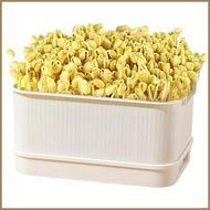 Sprouter Tray Soil-Free Bean Sprouter with Lid Cultivation Germination Tray for Bean Pea Wheatgrass 