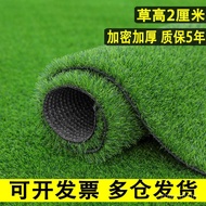 2cm Tinggi Padat Tebal Rumput Tiruan Tikar Rumput Palsu Rumput Tiruan Luaran Tadika Plastik Tiruan