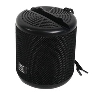 Audiobox 2GO Dock 100 Bluetooth Portable Speaker with Phone Docking | Built In Mic | FM Radio