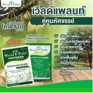 คู่หูมหัศจรรย เวิลด์ แพลนท์ (World Plant) โฉมใหม่ แพ็คคู่ 1 ชุด 2 ซอง