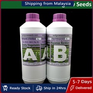 2L Baja AB / 400L [Leafy] Hydroponics Solution / AB Fertilizer Fertigasi Hidroponik (Sayuran Berdaun