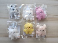 放 skzoo mini keyring