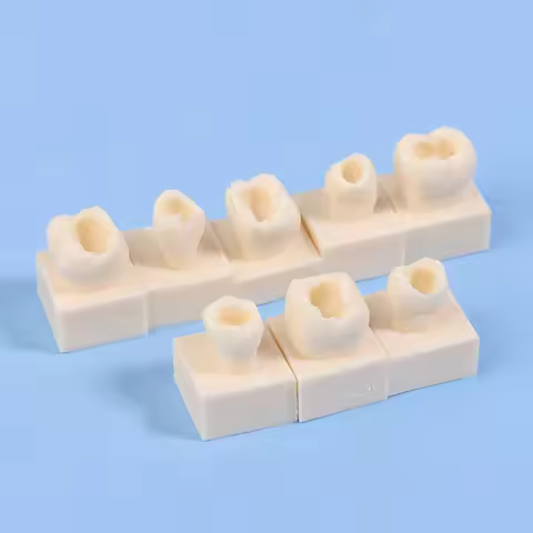 8pcs/Kit Dental Posterior Student Training Test Model Practice Composite Resin Filling Teeth Jaw Den