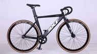 Xe đạp thể thao Fixed Gear Pioneer AT10