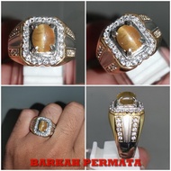 MATA NATURAL APATITE CAT'S EYE AGATE STONE RING