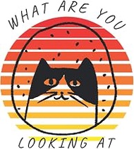What Are You Looking At - 100 Page Lined Cat Jornal: 6x9, matte, 100 pages, cat, lined journal