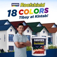 DAVIES ROOFSHIELD ROOF PAINT (4liters)