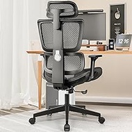 Office Chair Ergonomic Desk Chair with Lumbar Support and Mesh High Back Gaming Chair with Adjustable Headrest,Breathable Big and Tall Computer Chair Adjustable 3D Armrests (Black)