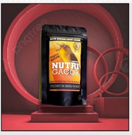 pakan PENGGACOR burung pleci dakun auriventer dakbal pacitan