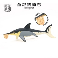 Hot-selling Children's Toys Solid Simulation Marine Animal Model Prehistoric Biological Chalk Dinosa