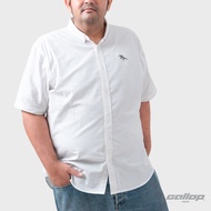 GALLOP : X-Men OXFORD CASUAL SHIRT เสื้อเชิ๊ตแขนสั้น Plus Size รุ่น GWX9000 มีโทนสีเบสิค มี 3 สี / ร