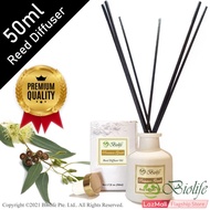 Biolife Eucalyptus Scented Sticks Reed Diffuser Essential Oil Gift Set with Scented Sticks, (50ml Reed Diffuser Set)
