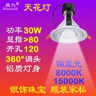 Open Hole 120 Jewelry Silver Jewelry PAR30 Embedded Blue Light Spotlight 8,000K 15,000K Ceiling Spot