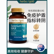 Overseas Herbs Of Gold Herbs Overseas Herbs Of Gold20250925