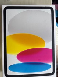 iPad 10 silver 256g