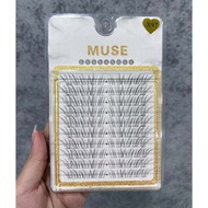 Express Update Continuously New and Hot Muse Eyelash Codes X73 X74 X80 X90 X91 X92 X97 X98 X99 MG74 