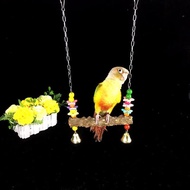 Parrot Bird Toy Supplies Swing Ring Ladder Ladder Xuan Feng Bite Climbing Bird Cage Ladder Interacti