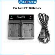 FZ100 Battery Dual Charger