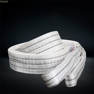 MIQUEL Industrial Lifting Belt, 1Tx1/300CM 2Tx1/300CM Wear Resistant Trailer Sling, Handling parts W