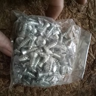 Philips screw 12x5/8 (5.5mm x 16mm)