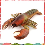 Realistic Marine Simulation Lobsters Model Australian Lobster Boston Lobster  Toy for Kid Gift B