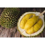 3 boxes + 1 boxes x 400g Musang King Durian Dehusked Premium Pahang Raub Malaysia - Time to Love Dur