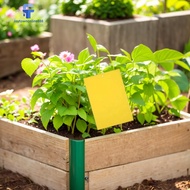 100Pcs Catching Aphid Insects Killer Waterproof Double Sided Sticky Trap for Gnats Bugs Sticky Traps