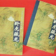 文學與電影 #16:《卧虎藏龍》