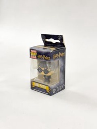 Funko Harry Potter Pocket Pop! Keychain