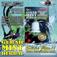 Gurah Mint Herbal Medicine for Hoarse Birds, Snoring, Mucus, Flu, Vitamin, Gacor Supplement, Doping 