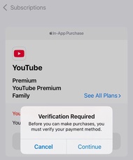 印度 upi app store 禮品卡 youtube