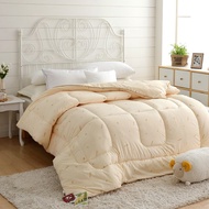 鴻宇 安格利亞發熱羊毛被 遠紅外線纖維 台灣製(單人/雙人)