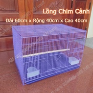 LỒNG NUÔI CHIM LỒNG NUÔI CHIM NHỎ TẬP TRUNG LỒNG NUÔI CHUỘT CHIM SINH SẢN SIZE 60x40x40