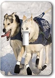 3dRose lsp_84025_1 Dogs, Iditarod Start, Alaska Na02 Dno0654 David Northcott Single Toggle Switch