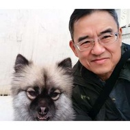 代客遛狗,   Walk dog service,  NTD 250 / per hour for one dog
