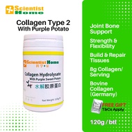SCIENTIST HOME Collagen Hydrolysate w Purple Potato 120g | Bovine Collagen Type 2