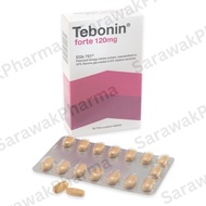 Tebonin Forte Tablet Improve memory 30's 120mg