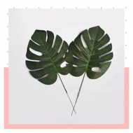 beli 5 gratis 1 daun monstera - daun monstera artificial - daun plastik - daun monstera L