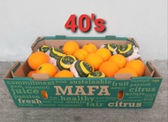 Sunkist Navel Orange SIZE: L (Sunkist 3107 size 88) / Egypt or Spain Navel Orange SIZE: L - (4 8 or 