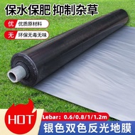 0.6M (H) X 250M (L) X 0.030 Made In Malaysia Micron Silvershine Roll Irrigation Plastik Fertigasi si