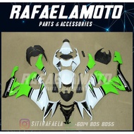 Kawasaki ZX-10R Full Coverset Year 2008-2010 Fairing 8