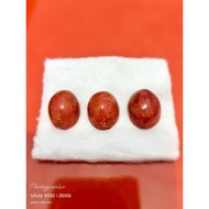 red coral / marjan asli