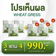 [ร้านบริษัท] Wheat grass วีทกราส อาหารเสริมช่วยดีท็อกซ์ตับ พุงยุบช่วยคุมน้ำหนักขนาด50กรัม