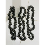 TANGKONG PENAMPANG SABAH 100 BIJI (1 IKAT) SEDIA DIIKAT