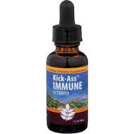 WishGarden Herbs - Kick-Ass Immune, Organic Herbal Immune Booster Promotes Healthy System Response a