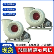 Fiberglass Reinforced Plastic Centrifugal Fan for Variable Frequency Industrial Dust Removal and Smo
