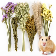 Sukh 42Pcs Herb Bedding Habitat Decor - Natural Flower Hamster Mate Herbs Sprays Cage Safe Pet Acces